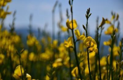 Trekking Delle Tre Torri - Sant'angelo In Vado