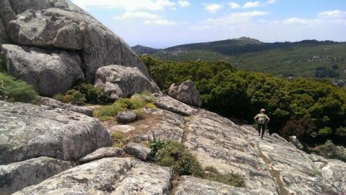 Pasquetta A Bruncu Nicola Bove - Maracalagonis