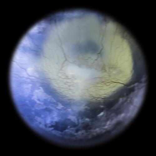 Personale Di Annalaura Di Luggo - Napoli