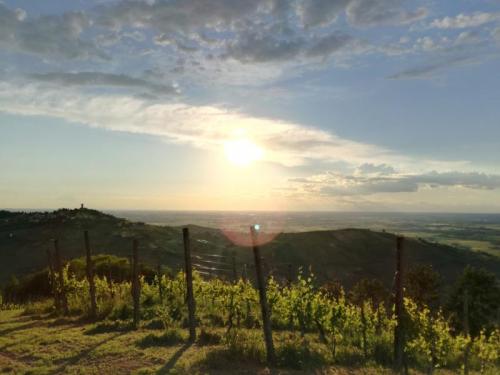 Tramonti Di..vini Nelle Terre Del Buttafuoco - Castana