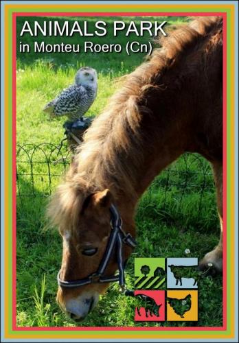 Animals Park Di Monteu Roero - Monteu Roero