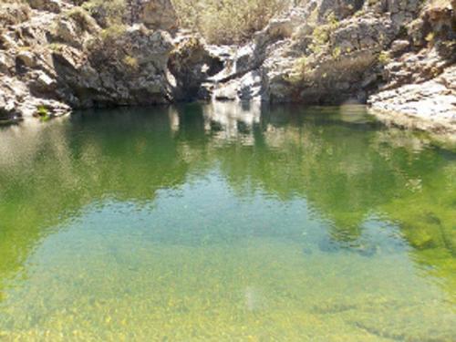 Escursione Nella Foresta Di Minderrì E Piscina Lecis - San Vito
