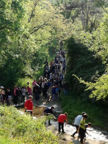 Festa Della Liberazione A Sinalunga - Sinalunga