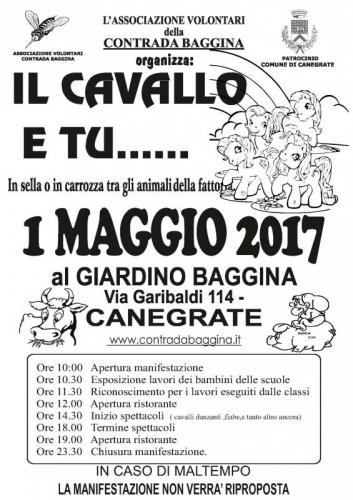 Il Cavallo E Tu - Canegrate