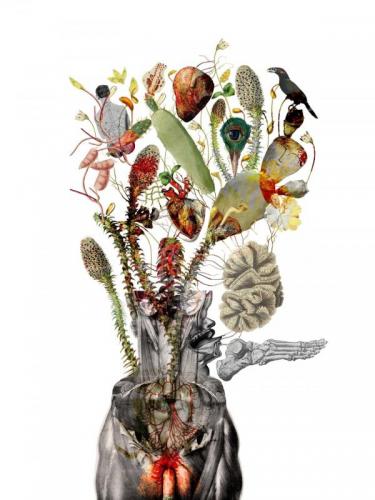 Disorientamenti - Trieste