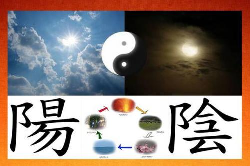 Corsi-incontri Di Medicina Tradizionale Cinese - Pesaro