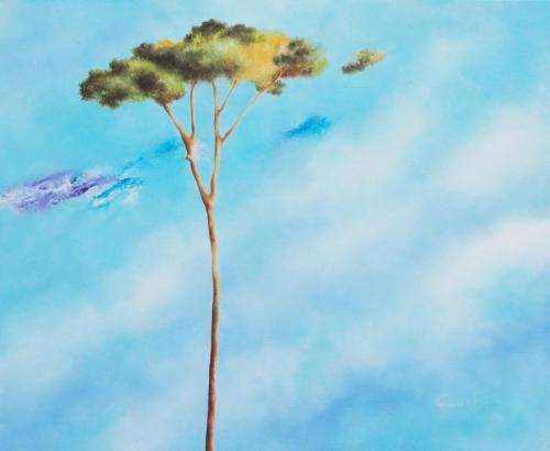 Back To Nature - Lucca