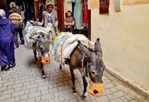 Street Photography - Torino