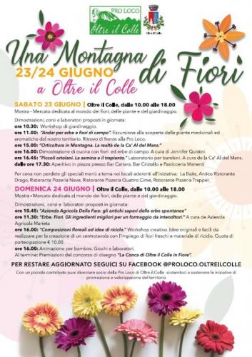 Una Montagna Di Fiori - Oltre Il Colle