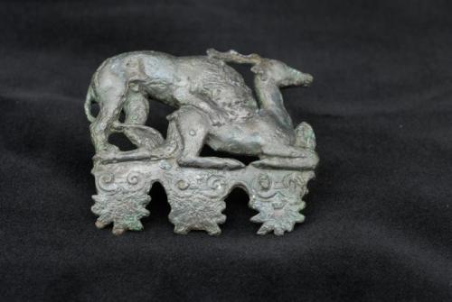 Festa Dei Musei - Buccino