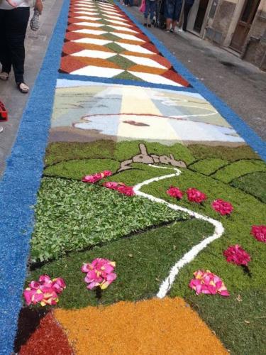Infiorata Di Tuoro Sul Trasimeno - Tuoro Sul Trasimeno