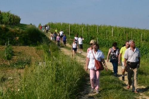 Passeggiata Delle Rose - Costigliole D'asti