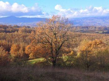 Ai Vighini Con Tolkien - Borgo Val Di Taro