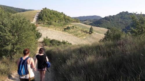 Tramonti Di..vini Tra Gessi Ed Ulivi - Codevilla