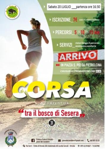 Tra Il Bosco Di Sesera - Oricola