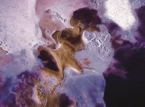 Personale Di Giuseppe Zini - Valsamoggia