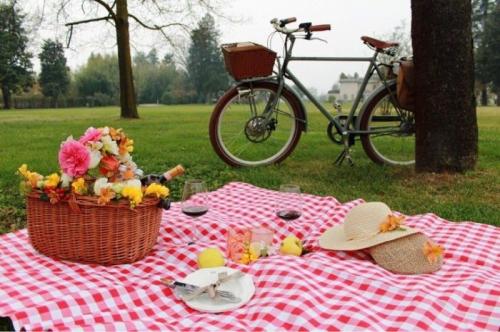 Pic Nic Villa Necchi Alla Portalupa - Gambolò