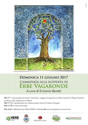 Alla Scoperta Delle Erbe Vagabonde - Castelnovo Ne' Monti