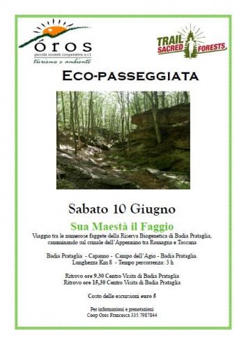 Sua Maestà Il Faggio - Poppi