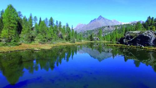 Valmalenco 3days - Caspoggio