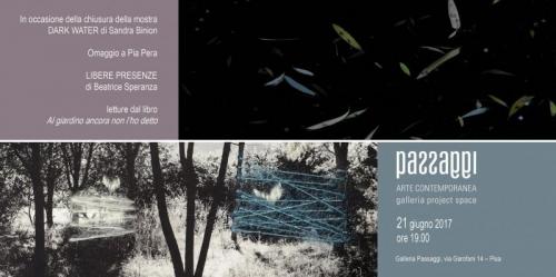 Personale Di Sandra Binion - Pisa