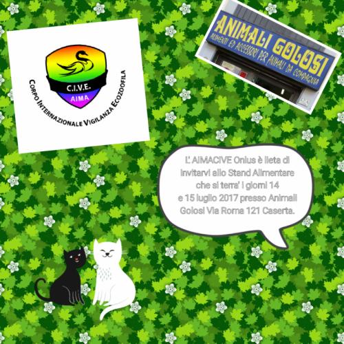 Stand Alimentare Aimacive Onlus - Caserta