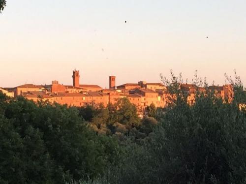 Torrita By Night - Torrita Di Siena