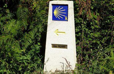 Tramonto Con L’autore  - Pesaro