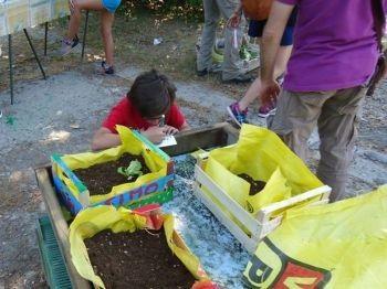 Vivaio Scodogna - Collecchio