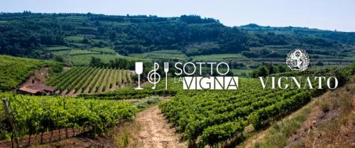 Sotto La Vigna Di Davide - Gambellara