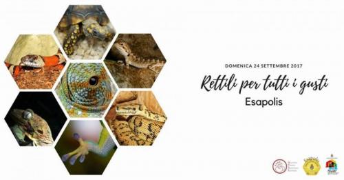 Amici A Sangue Freddo A Esapolis - Padova