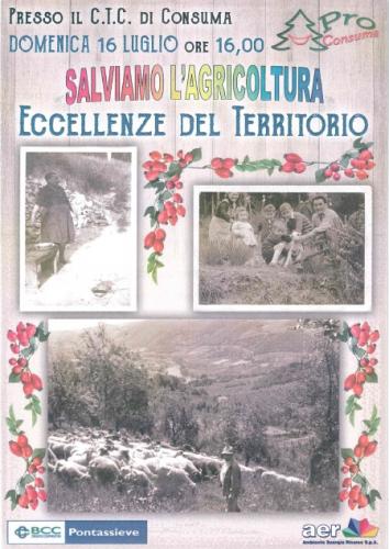 Festa Alla Consuma - Pelago