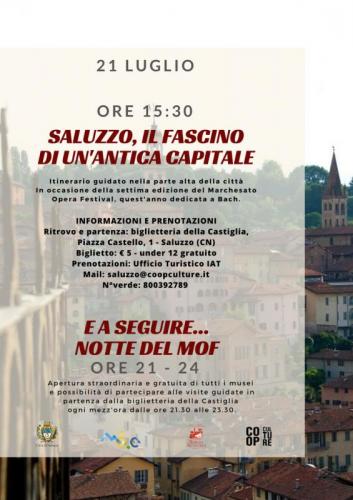 Visite Guidate Nei Musei Di Saluzzo - Saluzzo