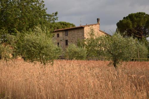 Festa Della Battitura Di Bagno A Ripoli - Bagno A Ripoli