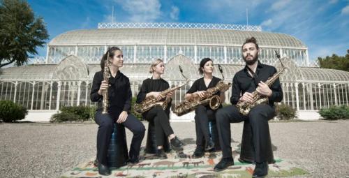 Quartetto Auris - Castelnuovo Berardenga