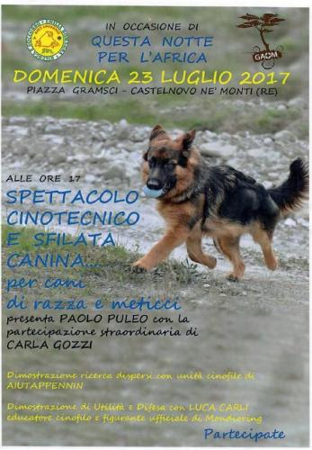 Spettacolo Cinotecnico E Sfilata - Castelnovo Ne' Monti
