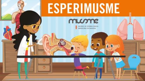 Museo Di Storia Della Medicina - Padova