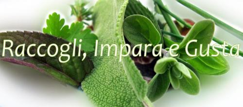 Raccogli, Impara E Gusta - Montecchio