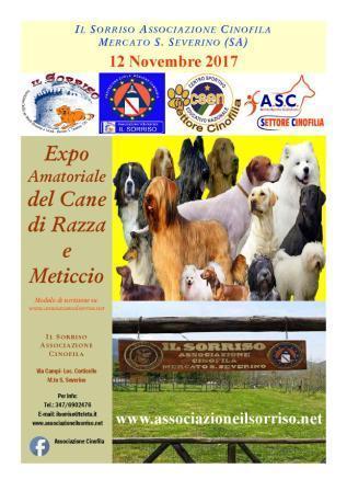 Show Cinofilo - Mercato San Severino