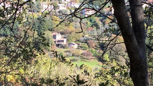 Incontro Con I Cavalli - Reggello