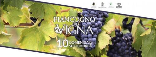 Piancogno In Vigna - Piancogno