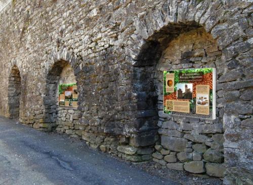 Il Museo A Cielo Aperto Della Nocciola - Cravanzana
