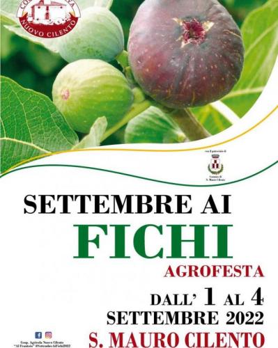 Settembre Ai Fichi Di San Mauro Cilento - San Mauro Cilento