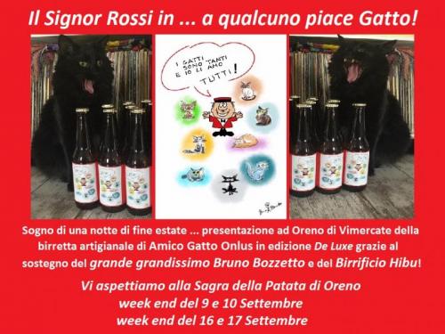 Amico Gatto Onlus - Vimercate