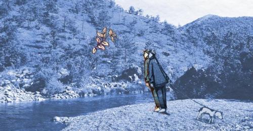 Il Bosco Rivelato - Bosio