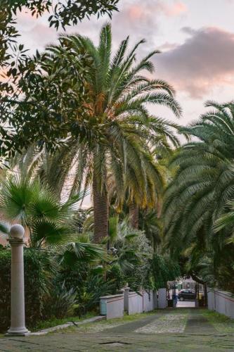 Ied Cagliari - Cagliari