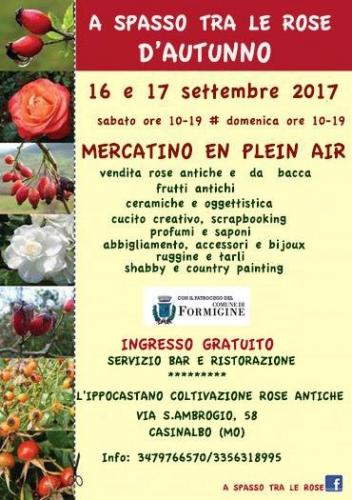 A Spasso Tra Le Rose D’autunno - Formigine