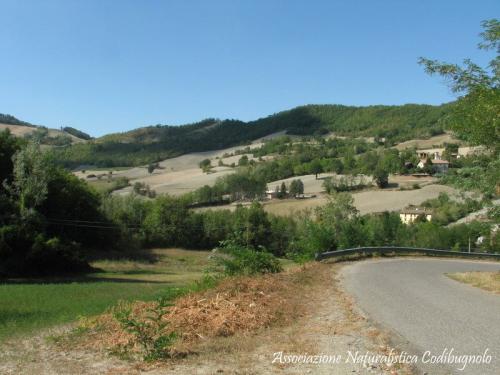 Alla Scoperta Della Natura Del Castello - Montesegale