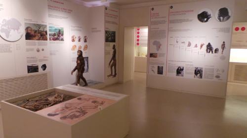 Il Castello Medievale Di Montecastrese Rivive - Camaiore