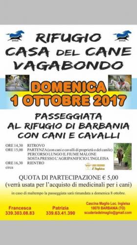 Passeggiata A 4 Zampe - Barbania